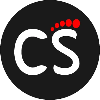 CS-1900